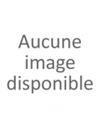 disque